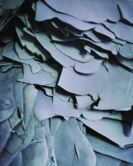 Cartes rêves, LVMH
