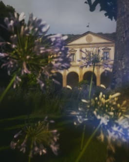 Cartes rêves, LVMH