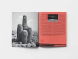 Fisheye Magazine, Julien Lombardi