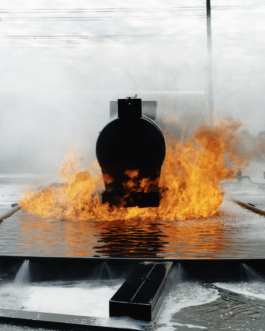 Fisheye Magazine 56, Nicolas Descottes