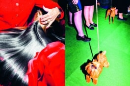 Dolly Faibyshev, Fisheye Photo Review