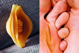 Nicolas Polli, Fisheye Photo Review