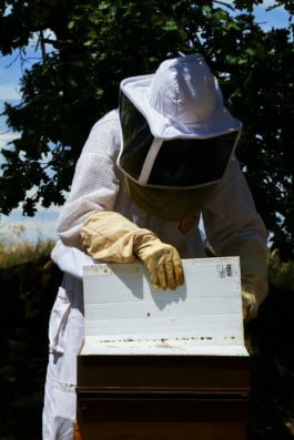 Piquées, Charlotte Abramow, Guerlain