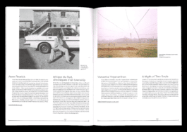 Tiré-à-part, Roger Pic