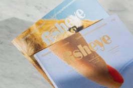 Julien Lelièvre, Fisheye Magazine