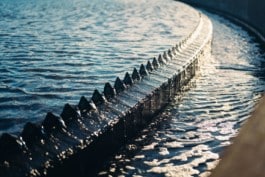 Reportage photo à Edimbourg, pour la campagne We are Ressourcers 2022/2023.