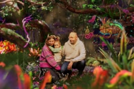 Voyage virtuel Gourau Phong