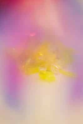 Atelier Montex, Tiphaine Orfao