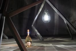 Ruinart, Retour aux sources