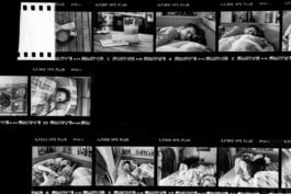 Lilou, Lucie Hodiesne Darras