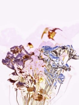 Flowertrip, Constance Valero