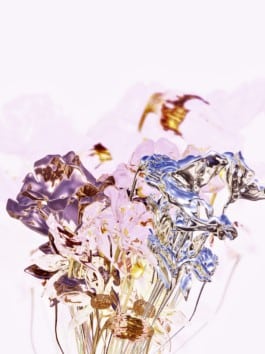 Flowertrip, Constance Valero 