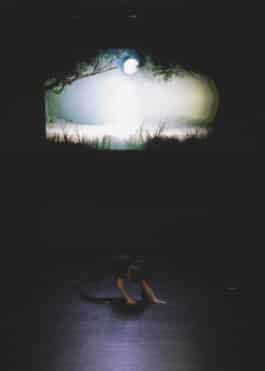 In the Metaverse