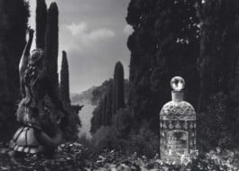 MYRIAM ROEHRI GUERLAIN, Chère Eugénie